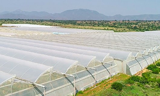 GreenPro Greenhouse Films